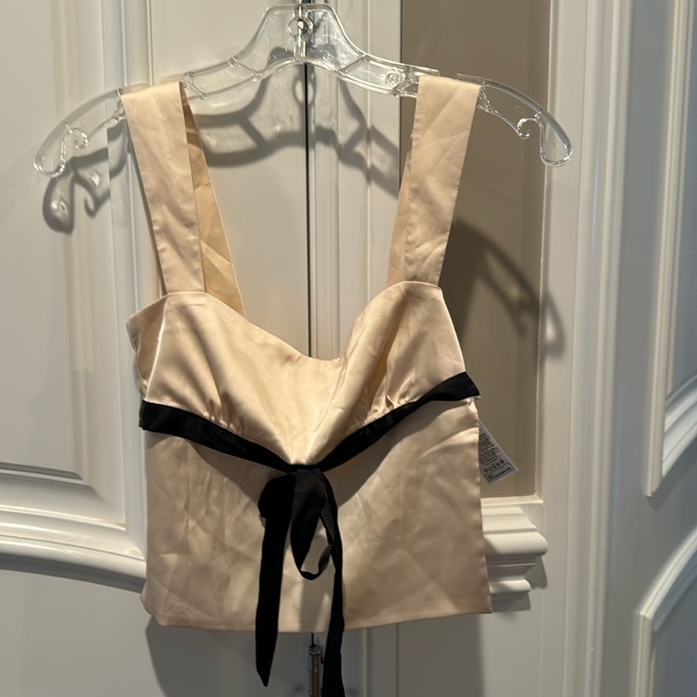NWT. Two Piece Edikted backless shirt and skirt